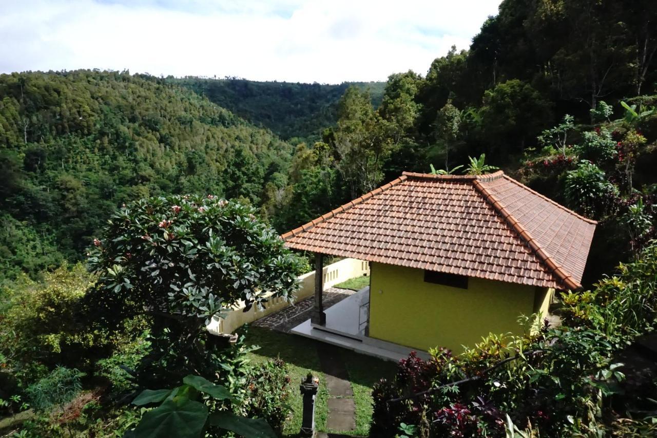 Aryautama Garden Villa Munduk  Bagian luar foto
