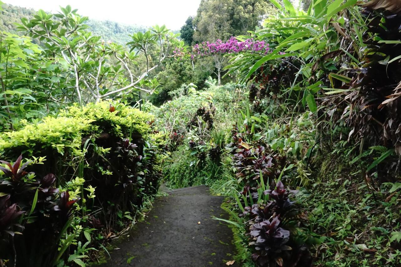 Aryautama Garden Villa Munduk  Bagian luar foto