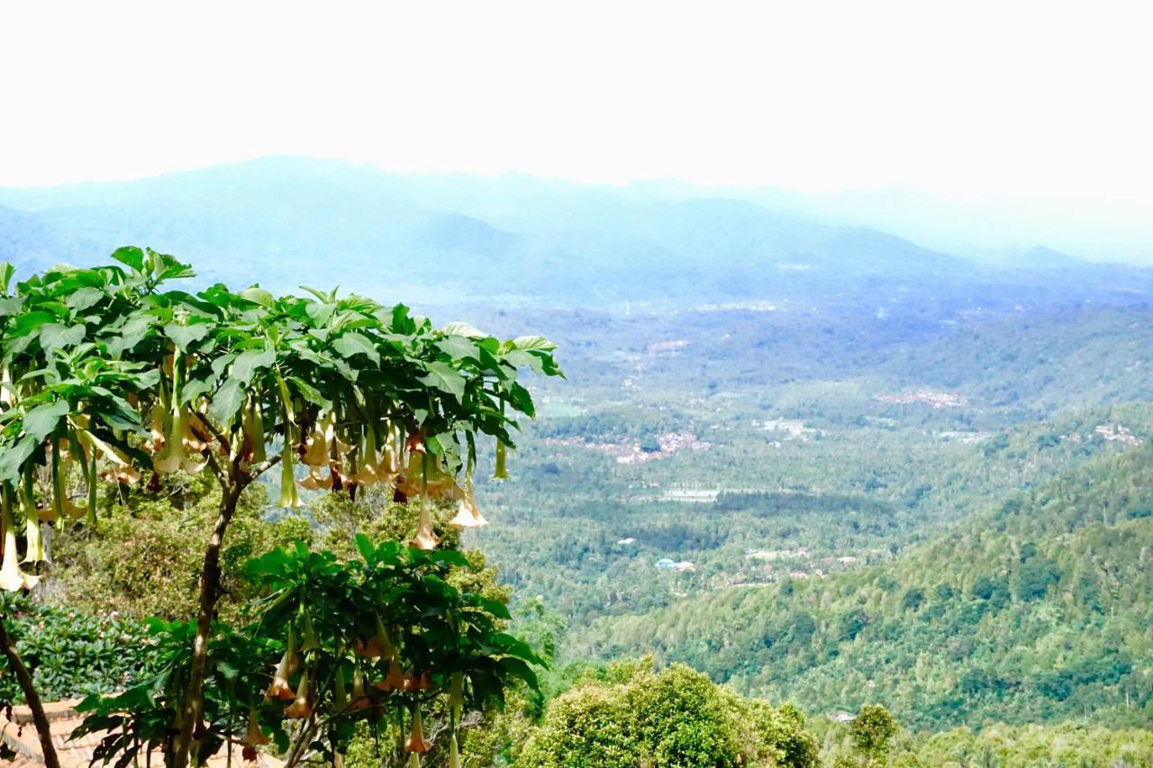 Aryautama Garden Villa Munduk  Bagian luar foto